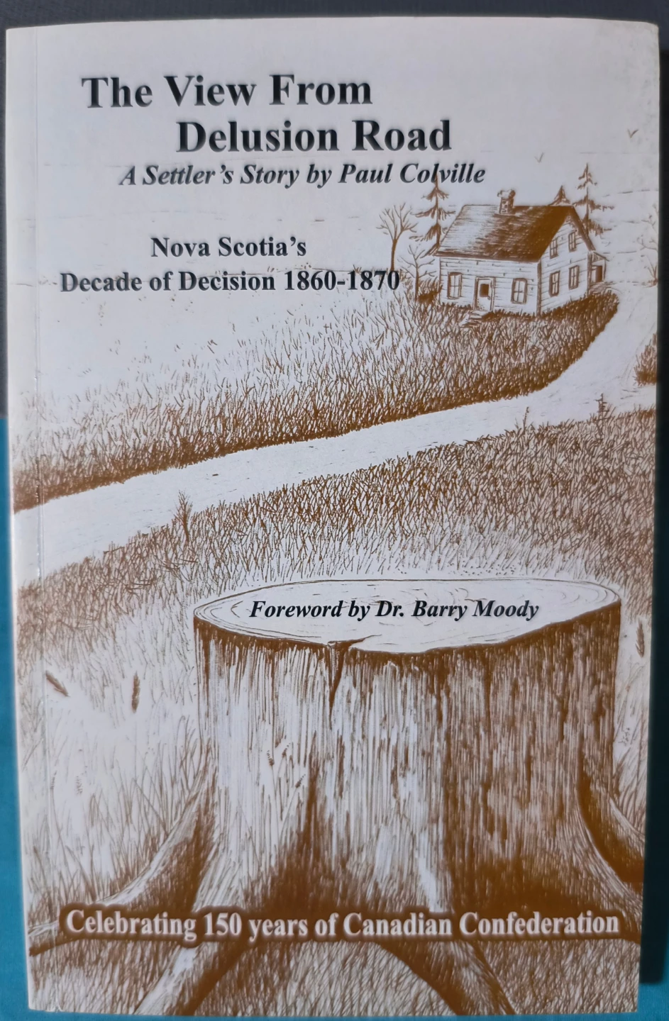 The View From Delusion Road by Paul Colville