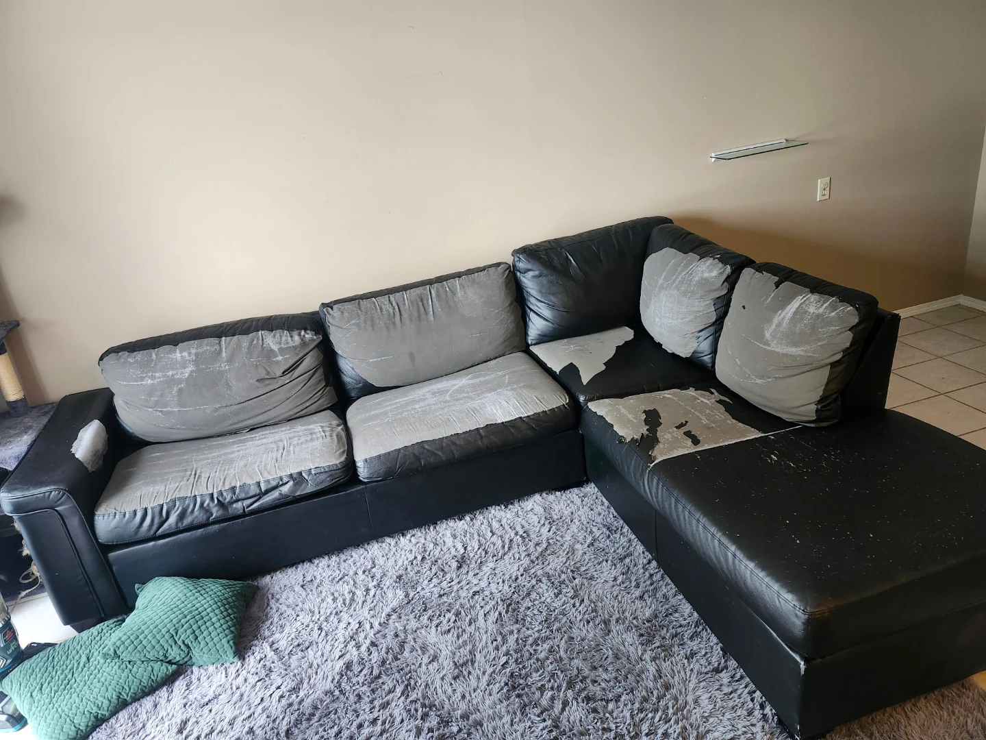 Free Couch, rough condition but still very comfy.