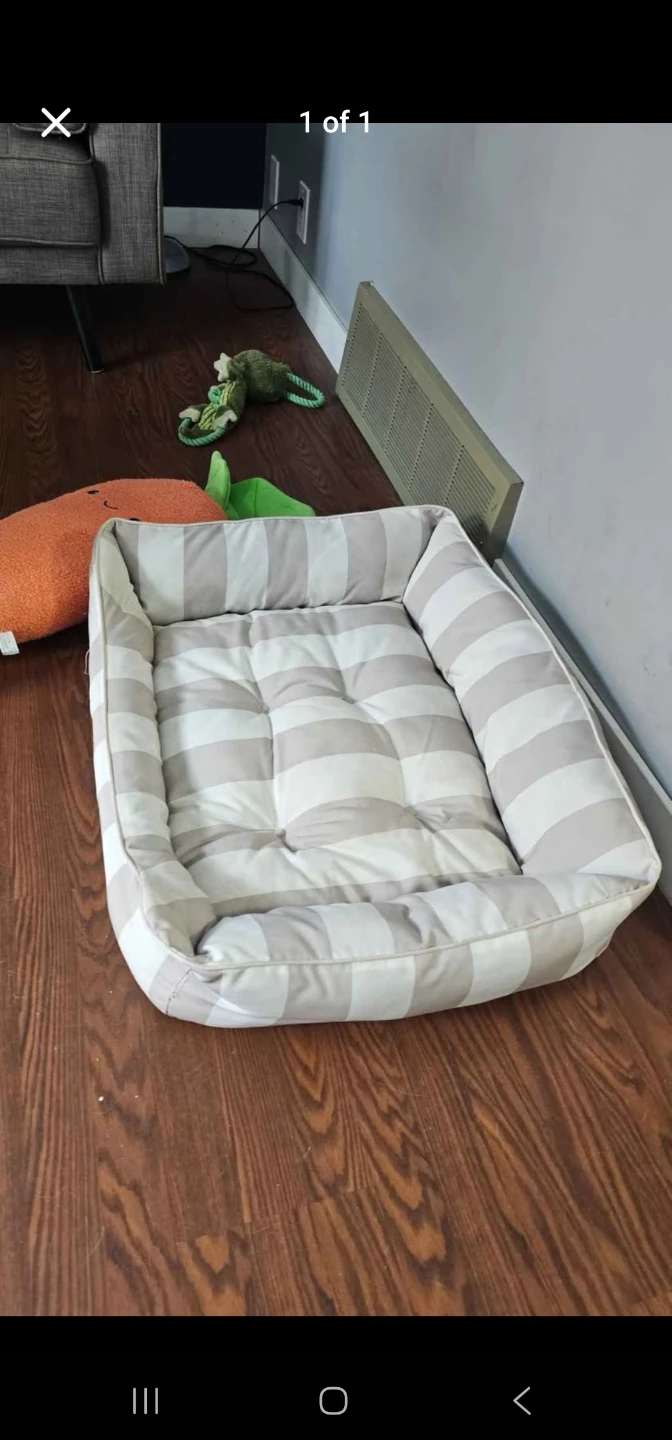 Striped Dog Bed