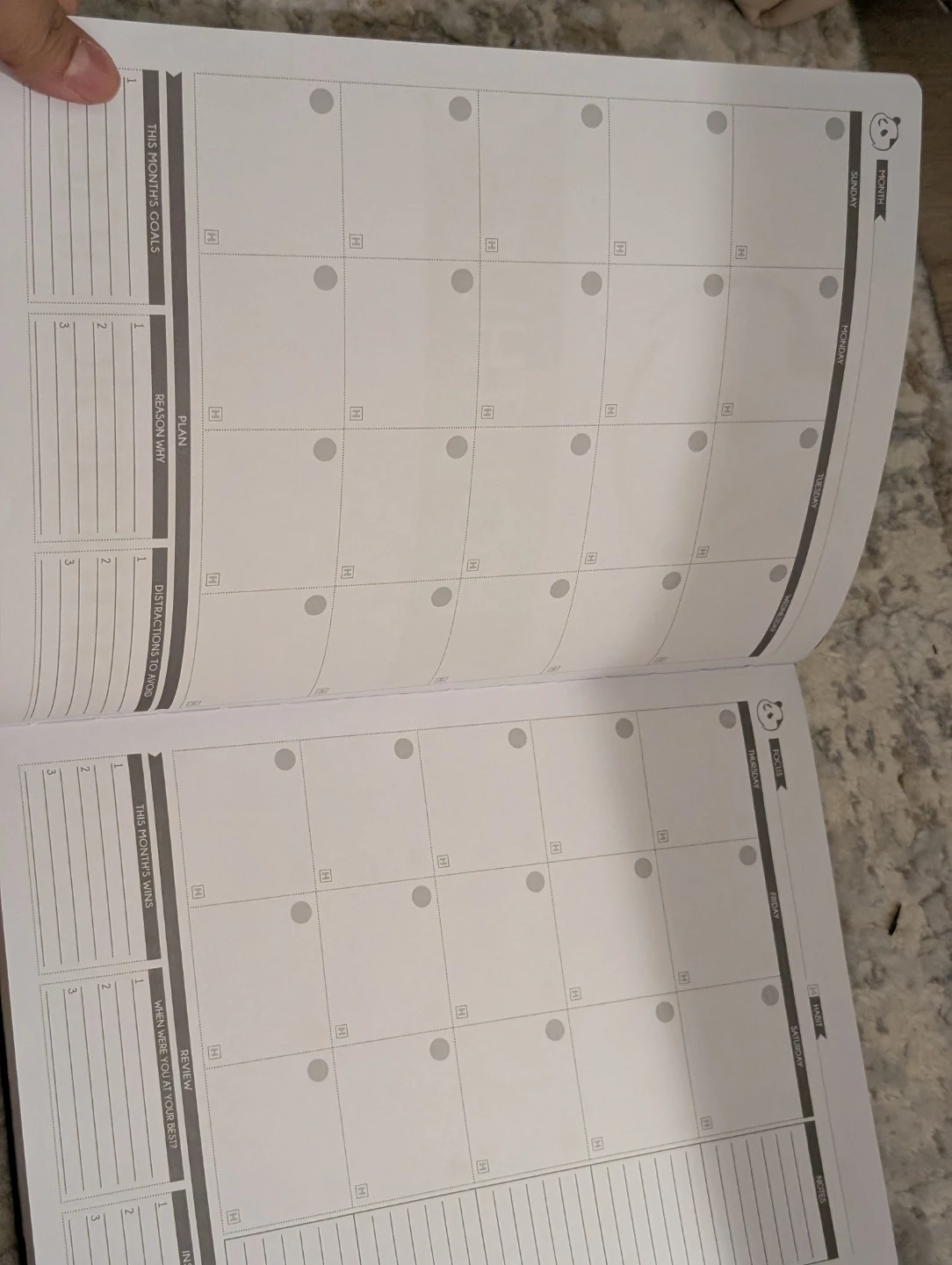 Panda Planner Productivity and Happiness Journal - photo 3