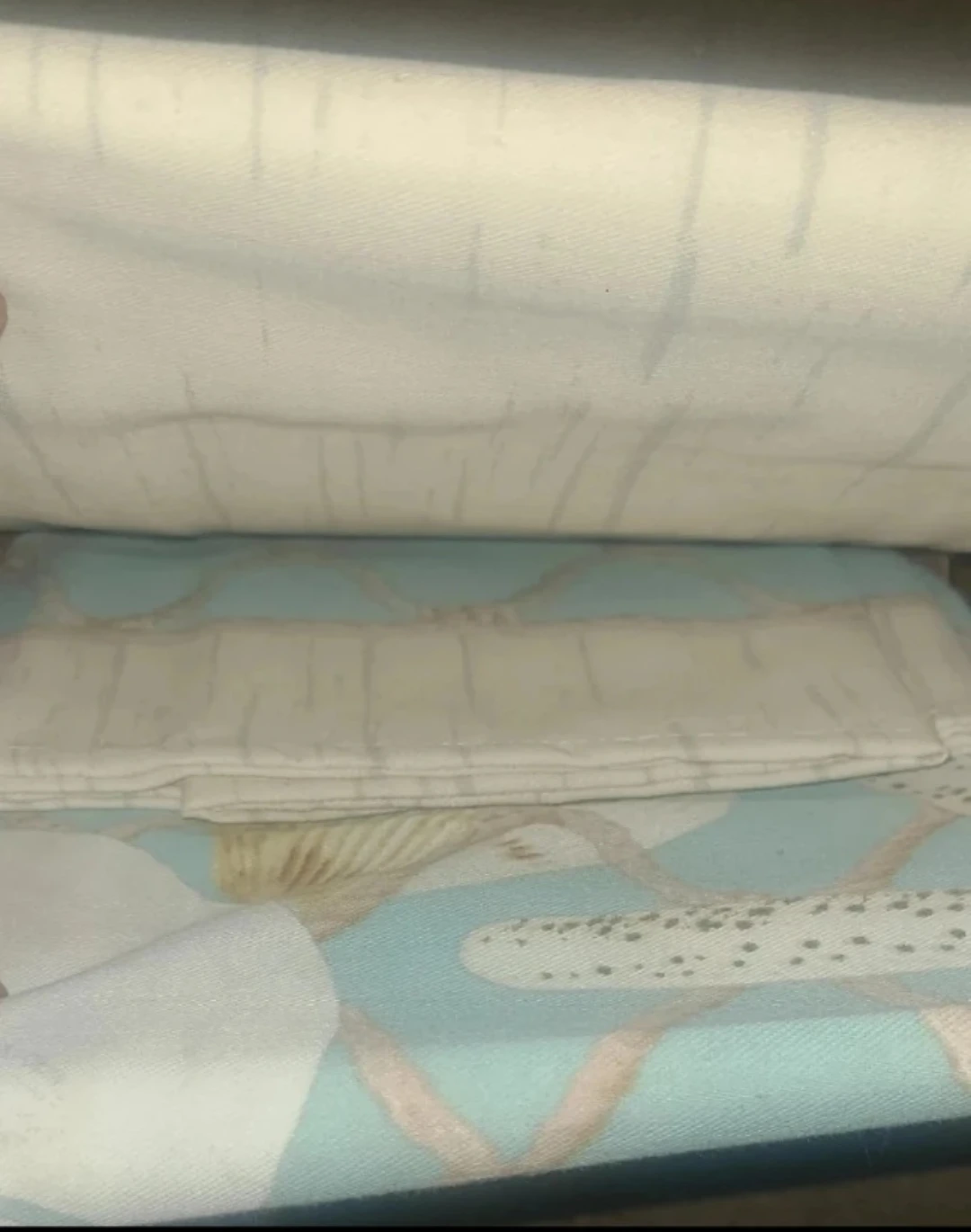 Avanti Home Seaglass Shower Curtain 72 x 72 inch 🥕 - photo 3