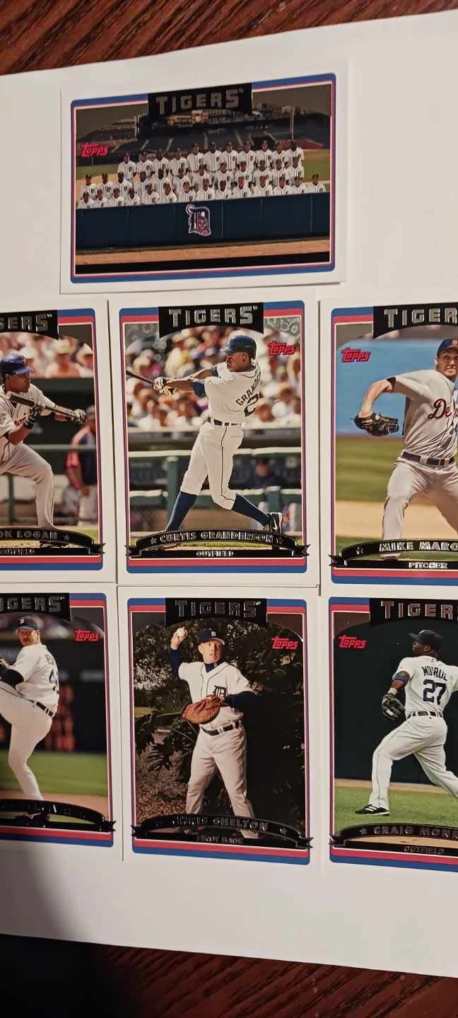 Lot of 7× 2006 Topps Detroit Tigers Baseball Cards - photo 3