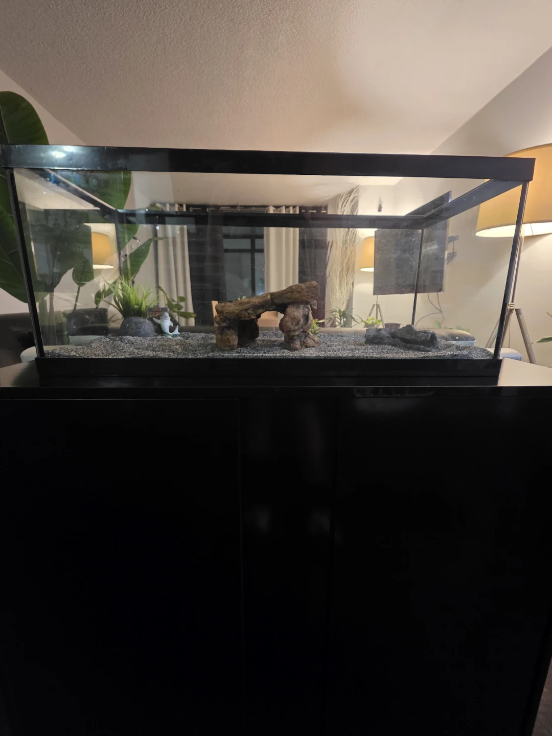20 gallon long aquarium