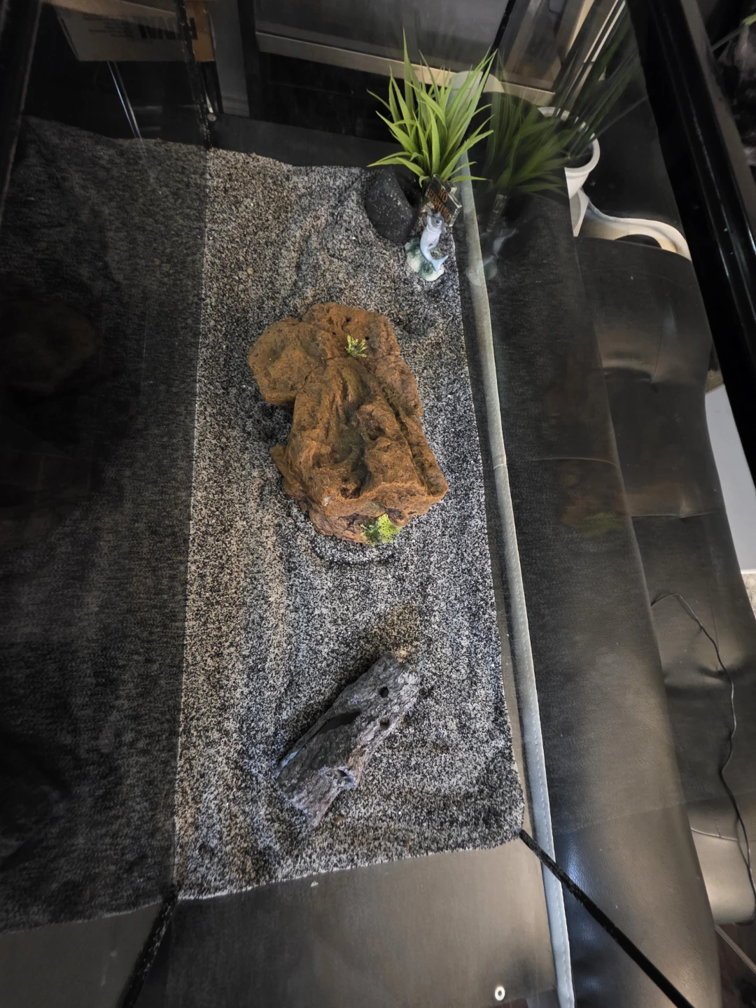 20 gallon long aquarium - photo 2