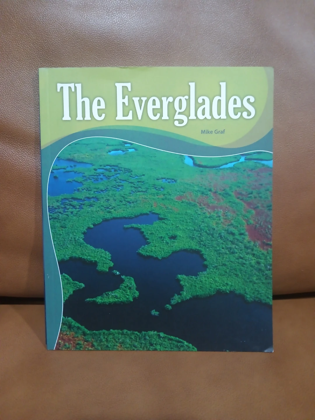 Children's Nonfiction Books - We've Got Mail! & More - photo 4