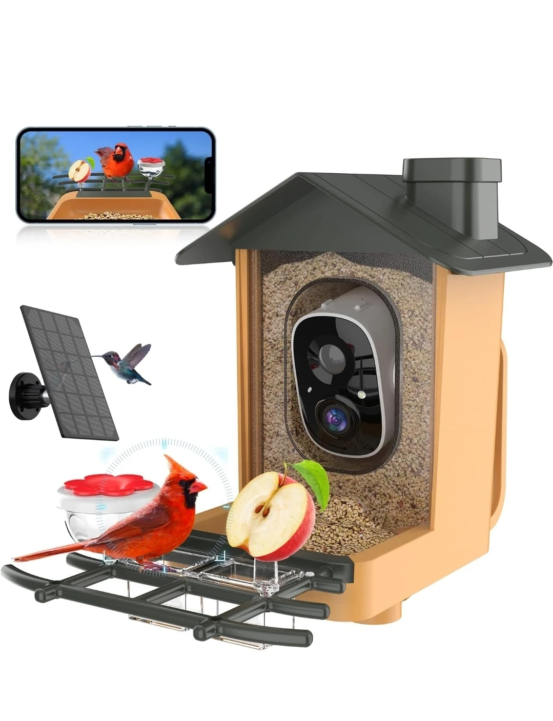 Solar Powered Bird Feeder with 2K Camera