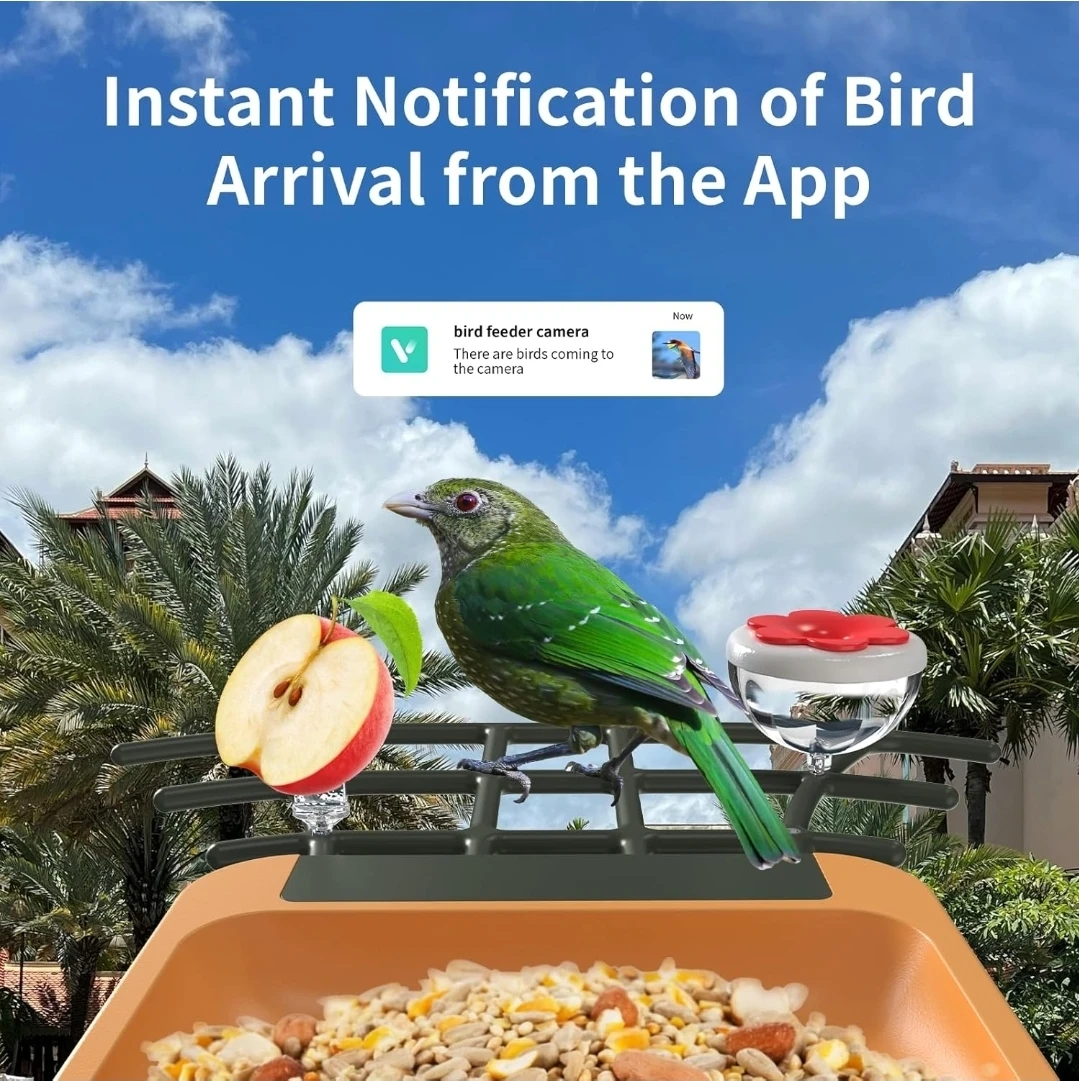 Solar Powered Bird Feeder with 2K Camera - photo 4