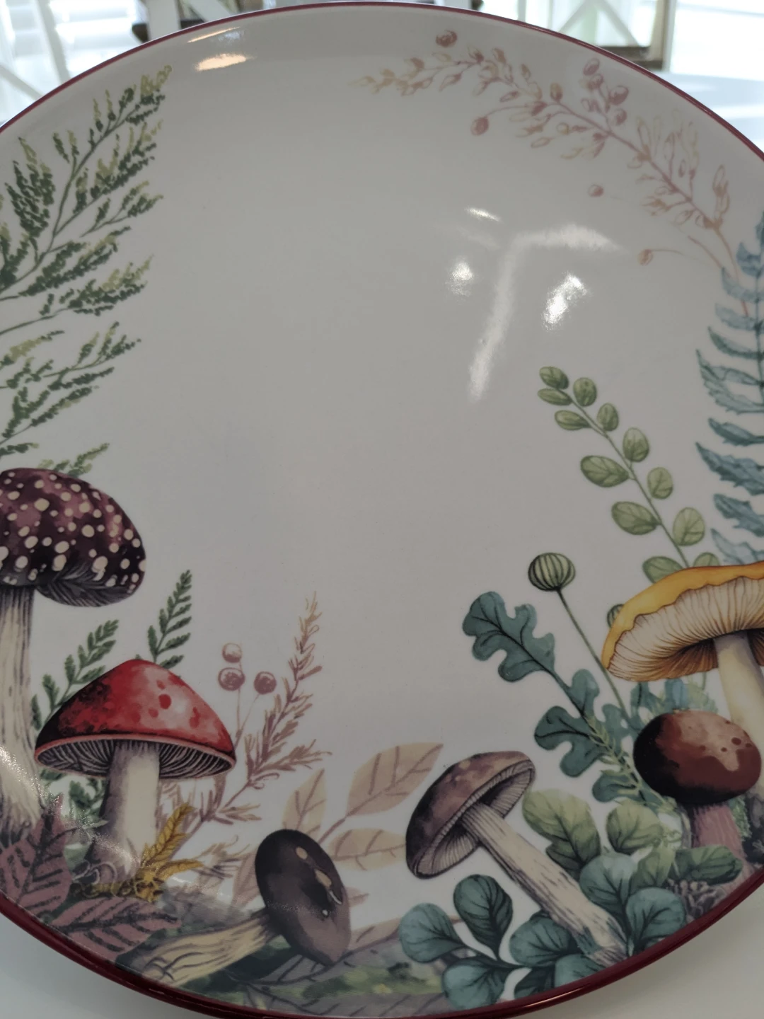Mushroom Themed Dinner Plates Stoneware - photo 5