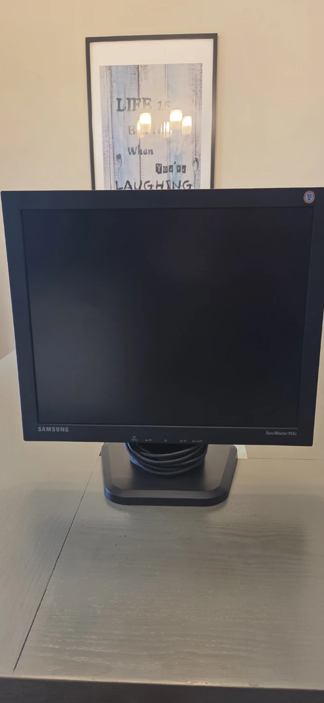 Samsung SyncMaster 913V LCD Monitor