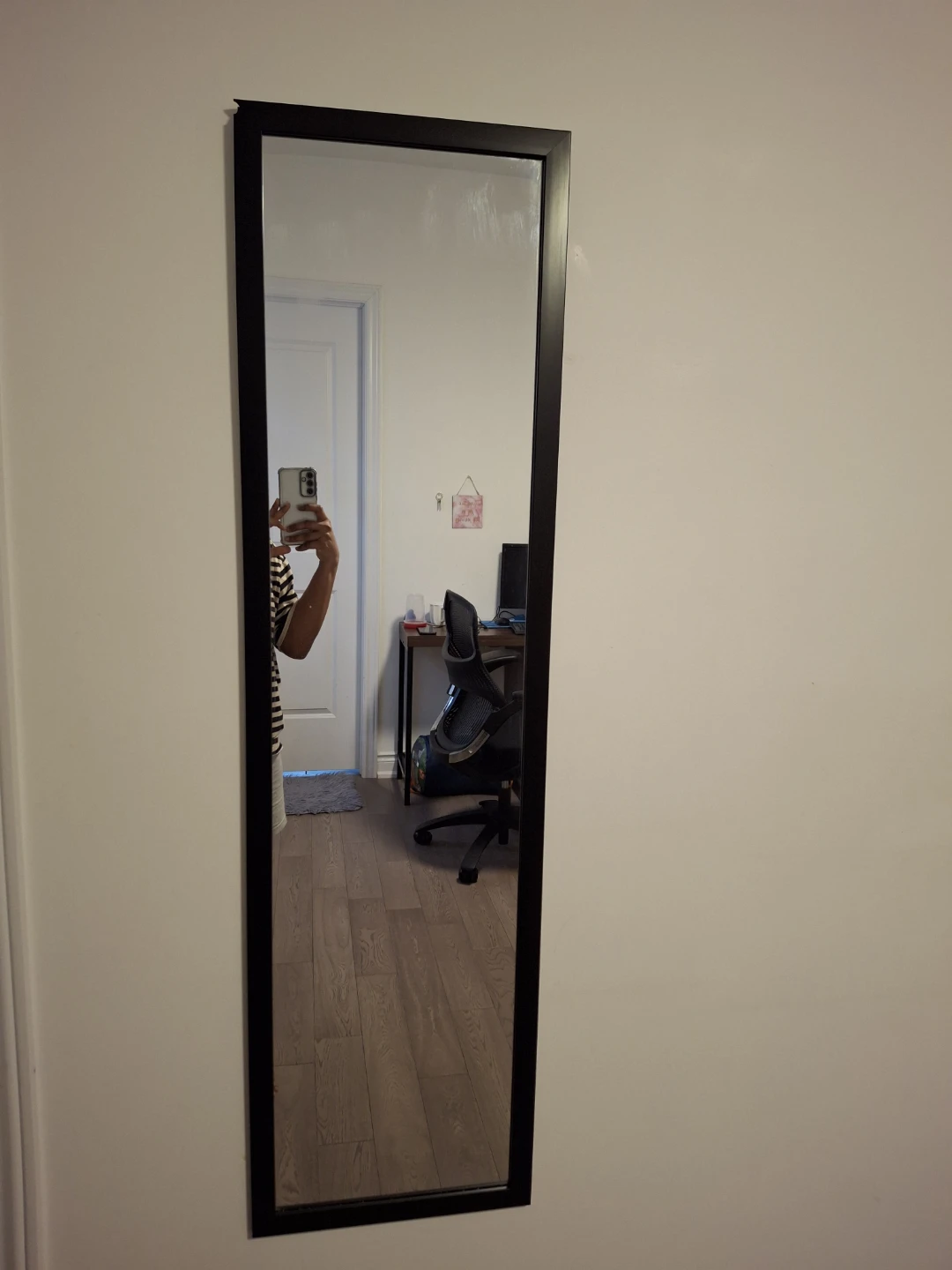 Black Framed Wall Mirror and Like New Steam Iron Combo