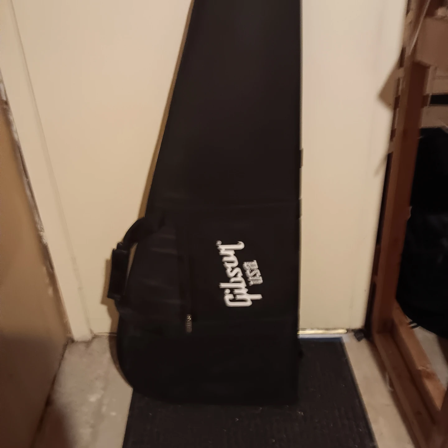 Gibson gig bag