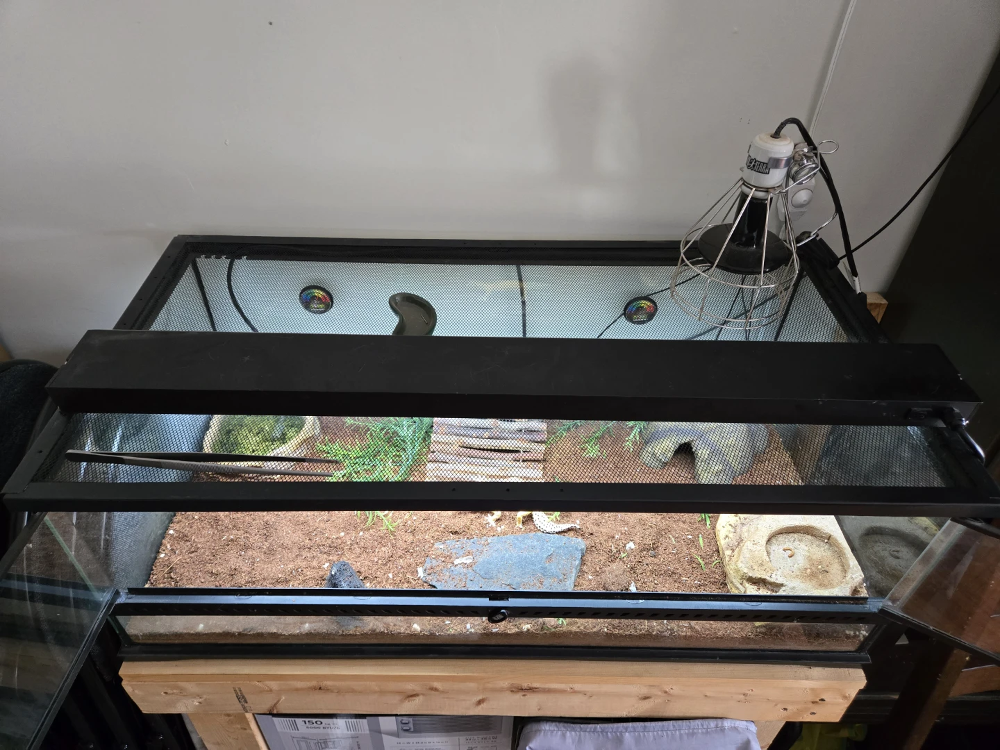 SOLD: Criter Tank Setup $200.00 - photo 4