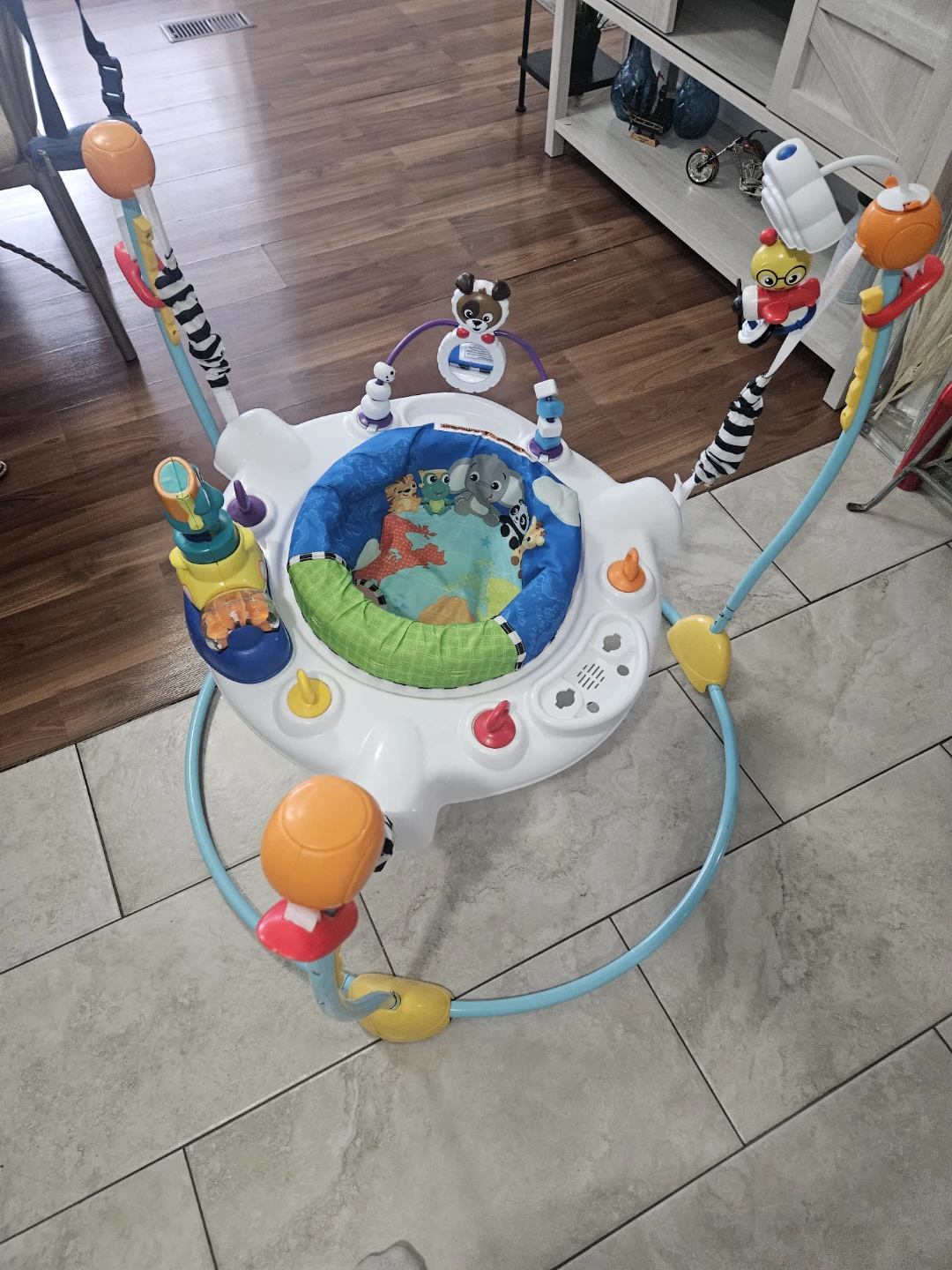 Baby Einstein Around We Grow 4-in-1 Discovery Center