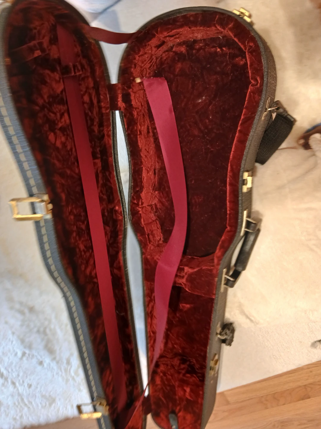 Violin Case - Red Velvet Interior