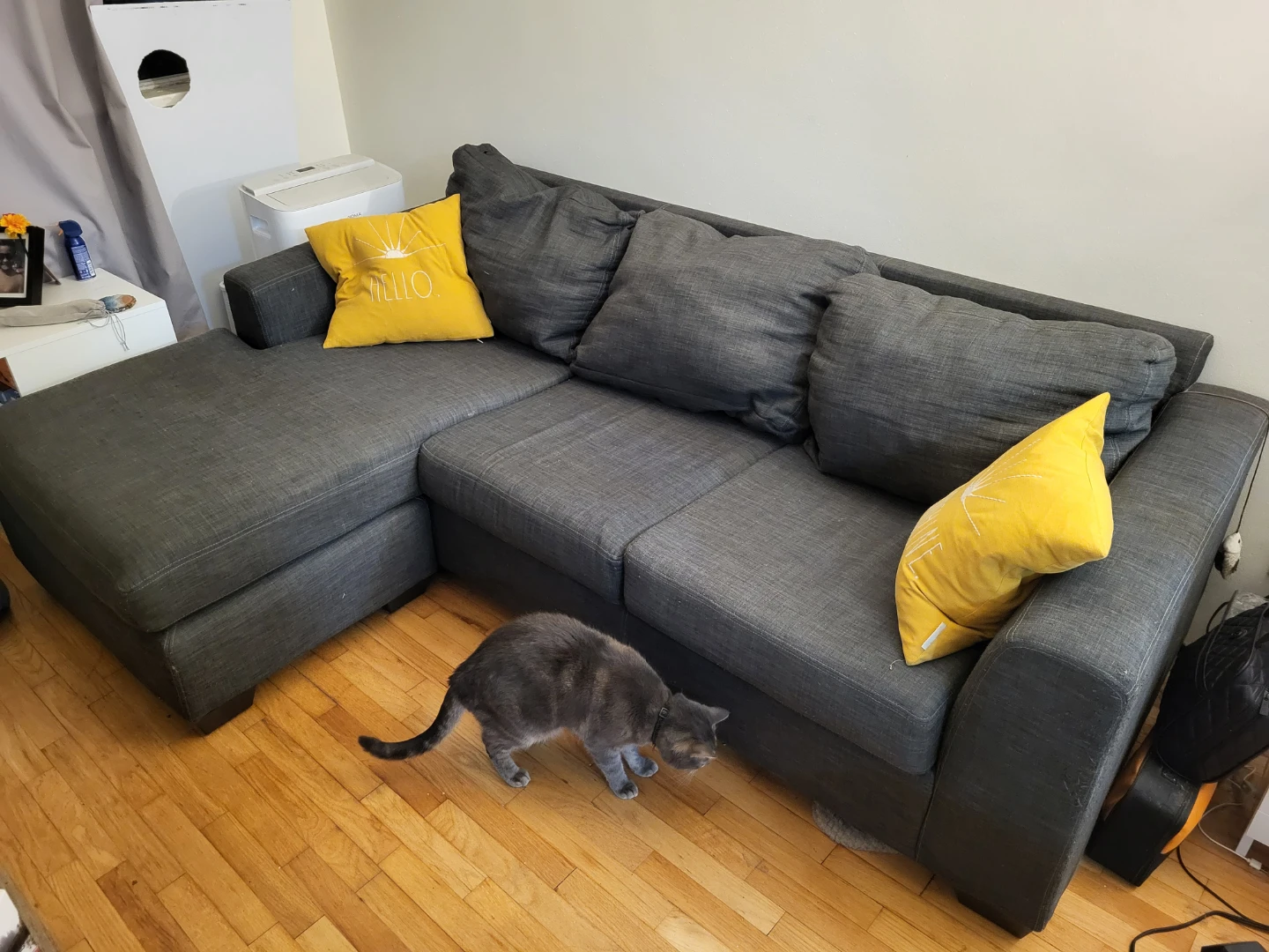 Sectional Couch *cat not included*