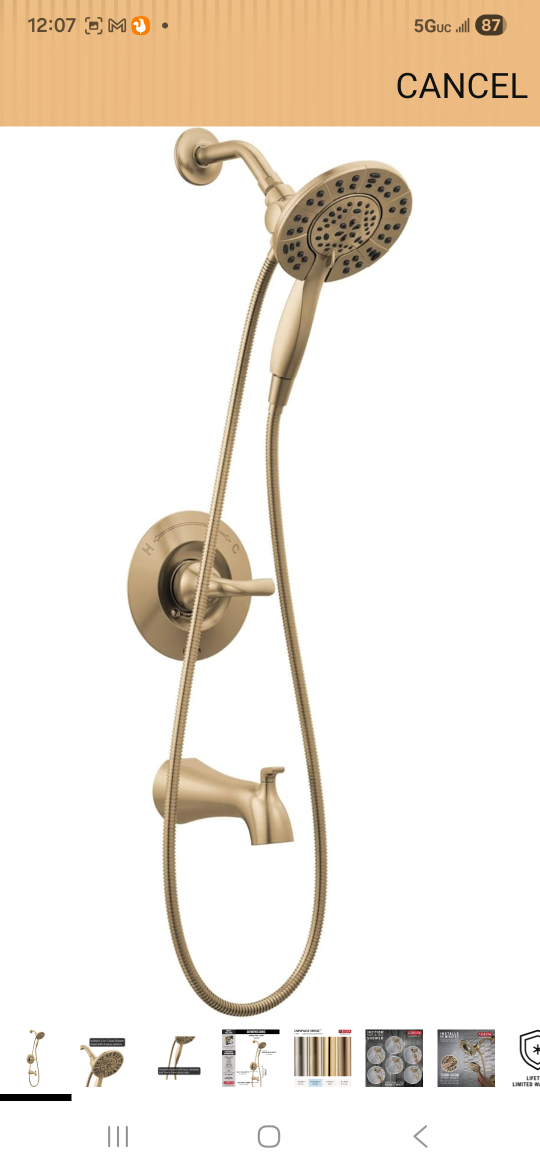Delta In2ition 2-in-1 Dual Shower Head