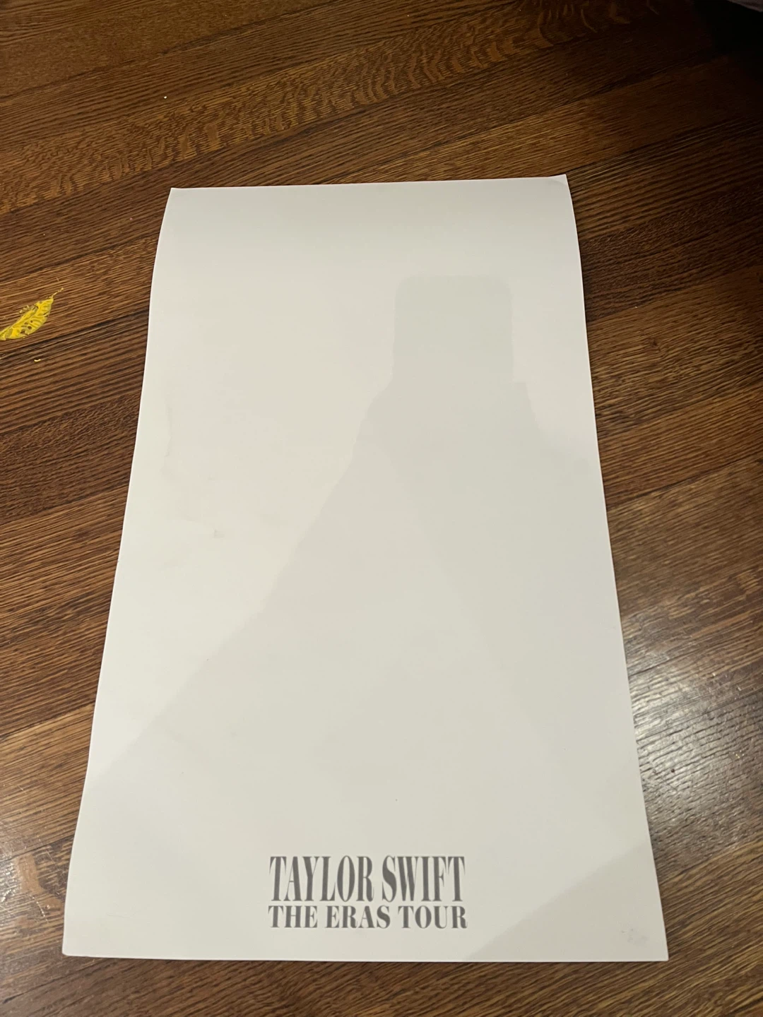 Taylor Swift Official Eras Tour Poster - photo 2