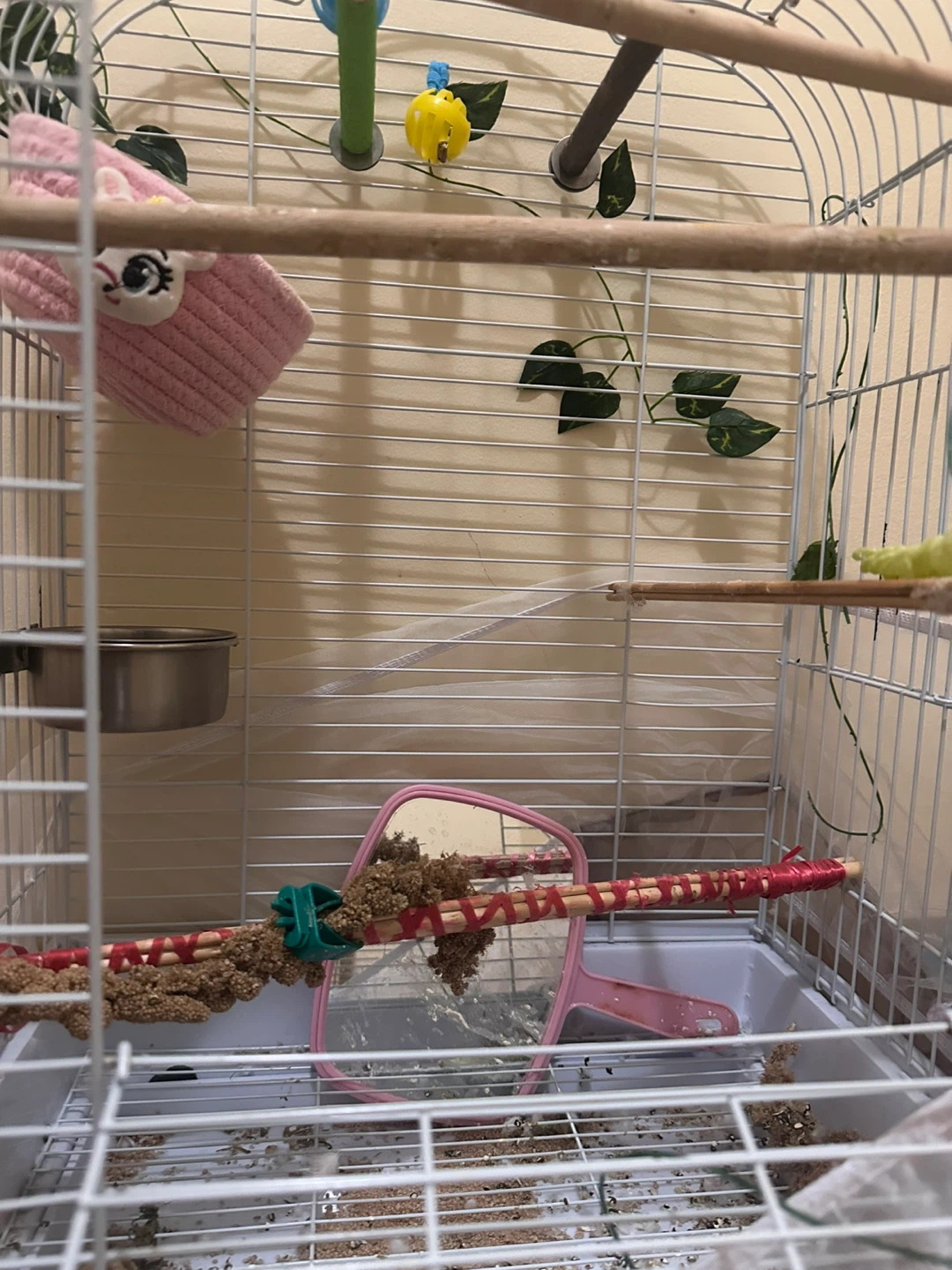 Bird Cage WITHOUT Accessories - photo 3