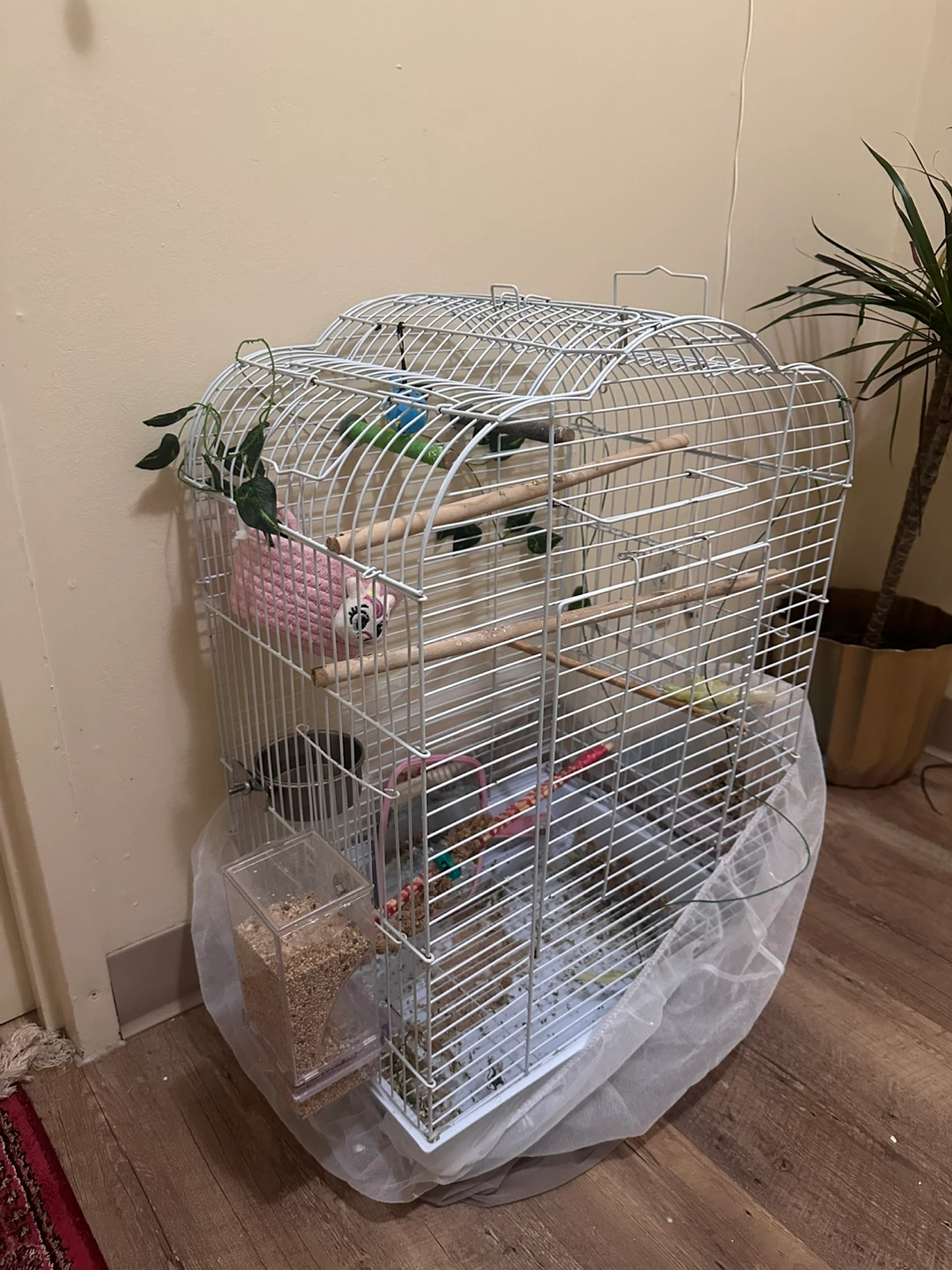 Bird Cage WITHOUT Accessories
