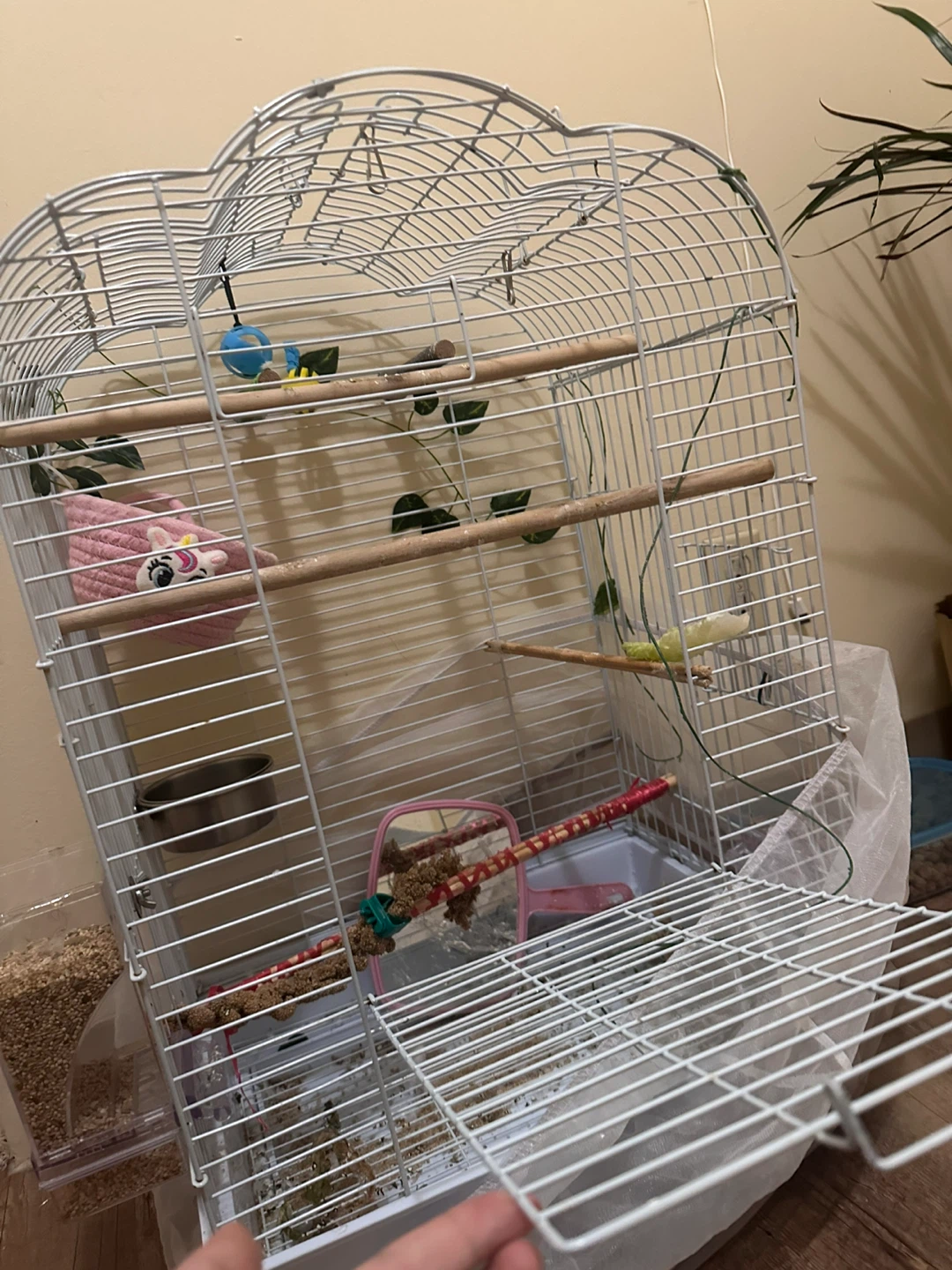 Bird Cage WITHOUT Accessories - photo 2