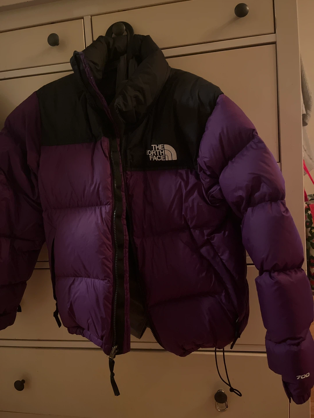 The North Face 700 Puffer Jacket Purple