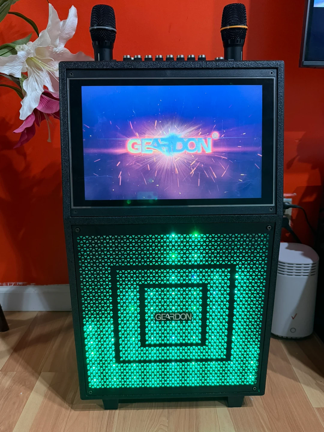 Karaoke Machine with Lyrics Display Screen  Adults,
