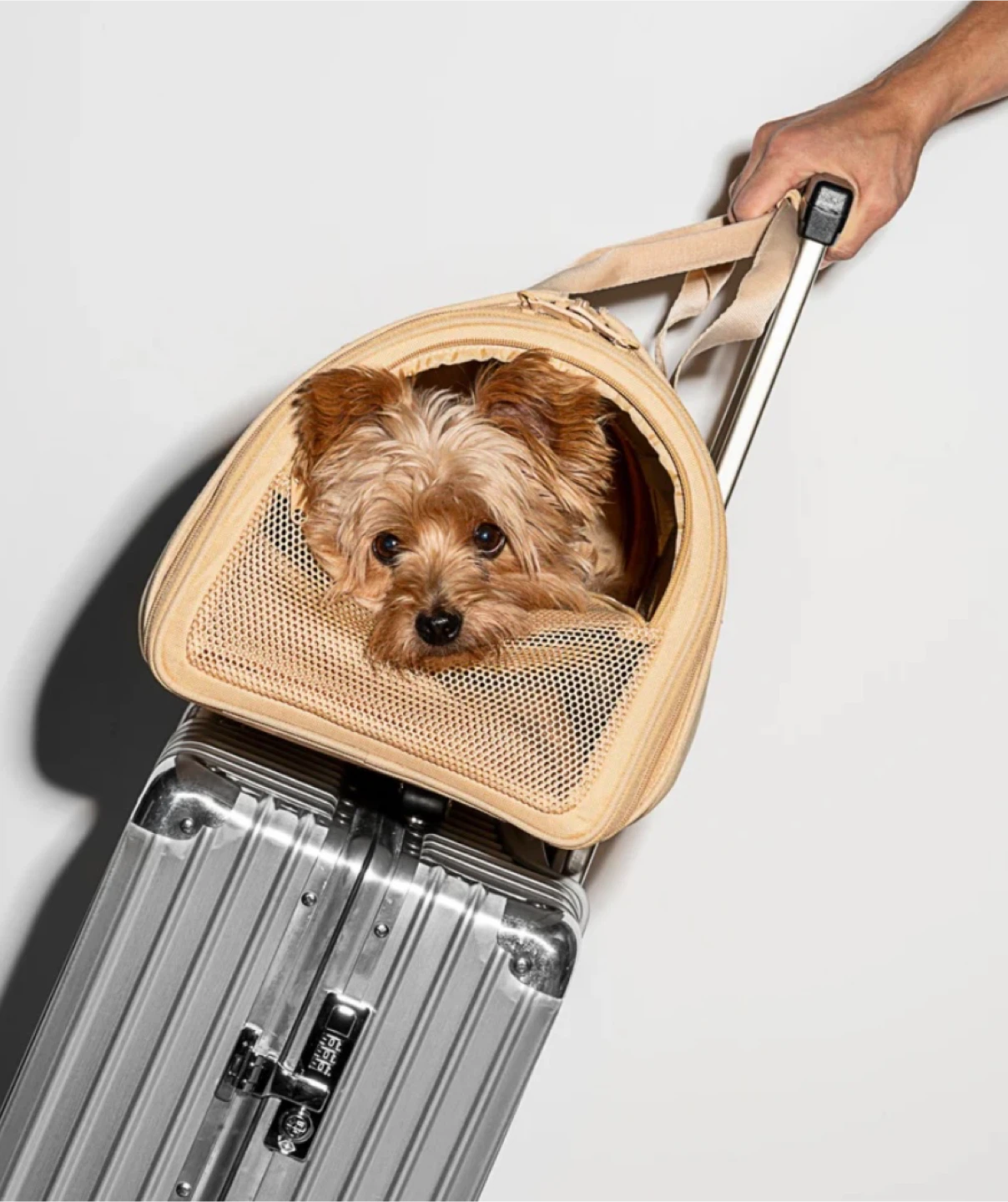 Brand New Pet Travel Carrier - photo 4
