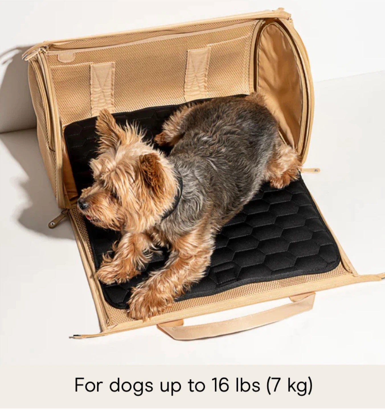 Brand New Pet Travel Carrier - photo 3