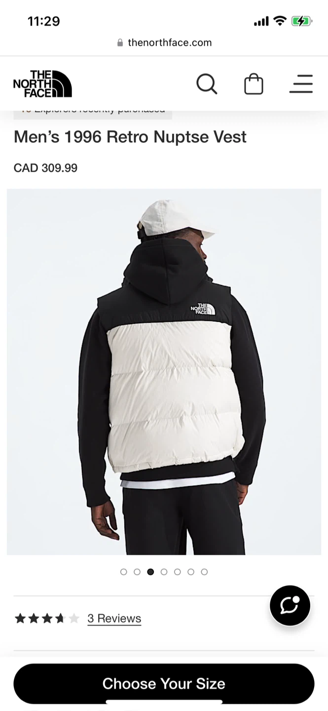 The North Face Men's 1996 Retro Nuptse Vest
