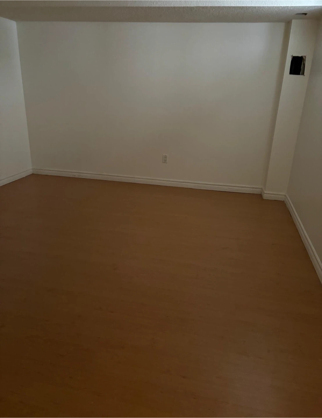 2 bedroom basement apartment available - photo 5