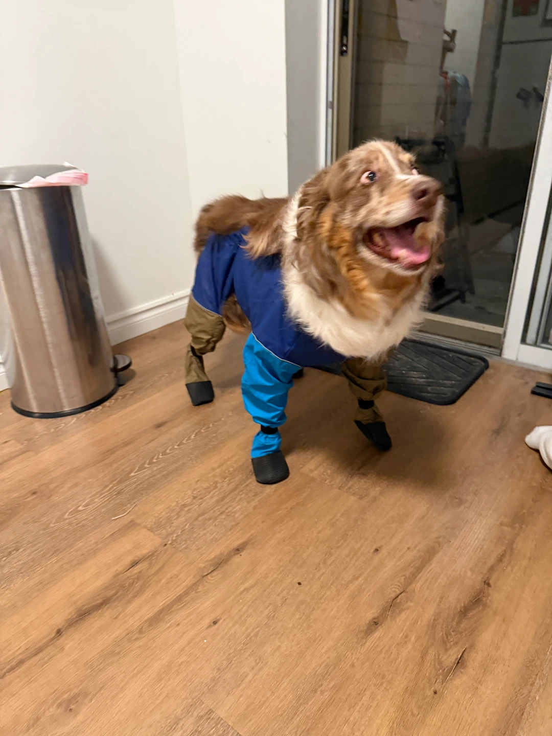 Dog Winter Boots Snowsuit - Blue, 2XL - photo 2