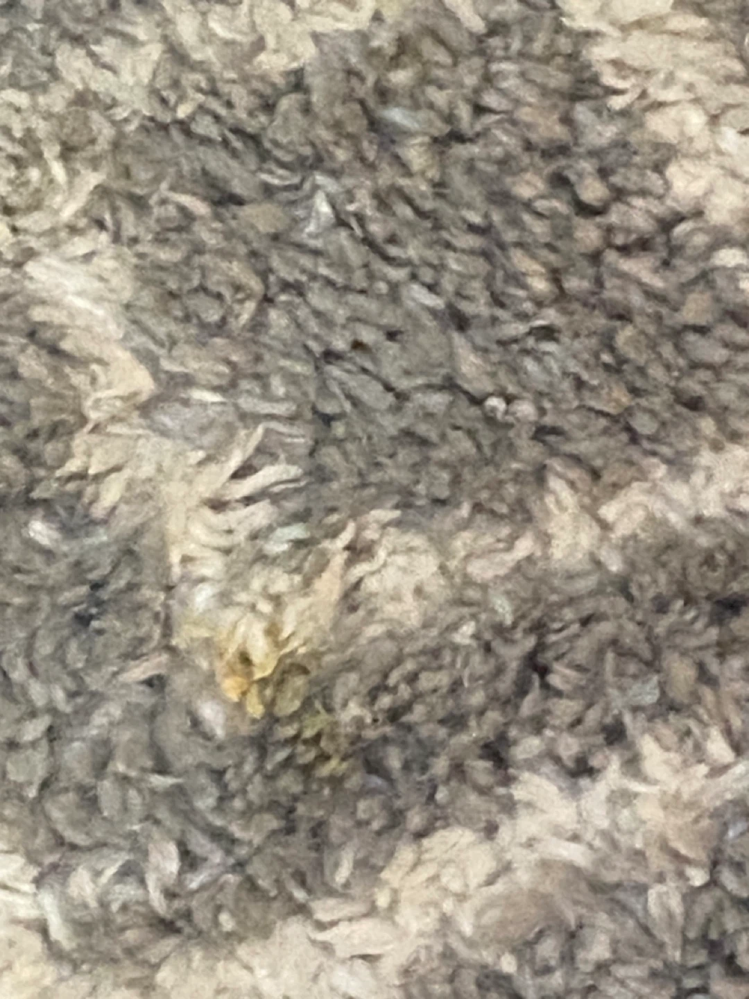 Floor rug - photo 2