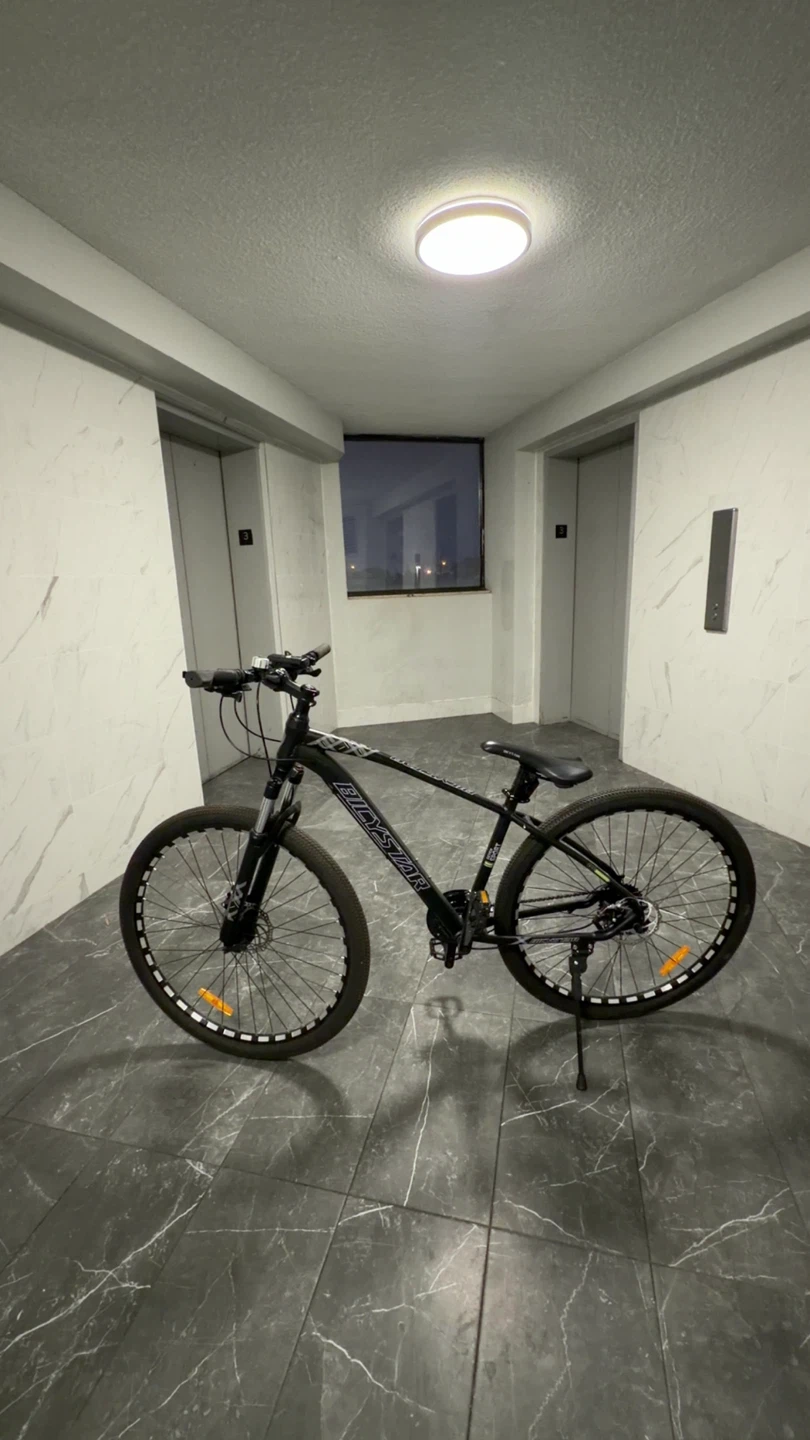 Bicystar Mountain Bike - Great Condition!