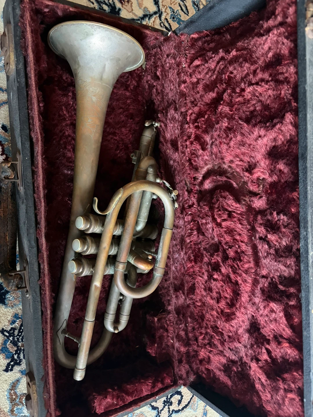 Olds Star C.Diver Cornet