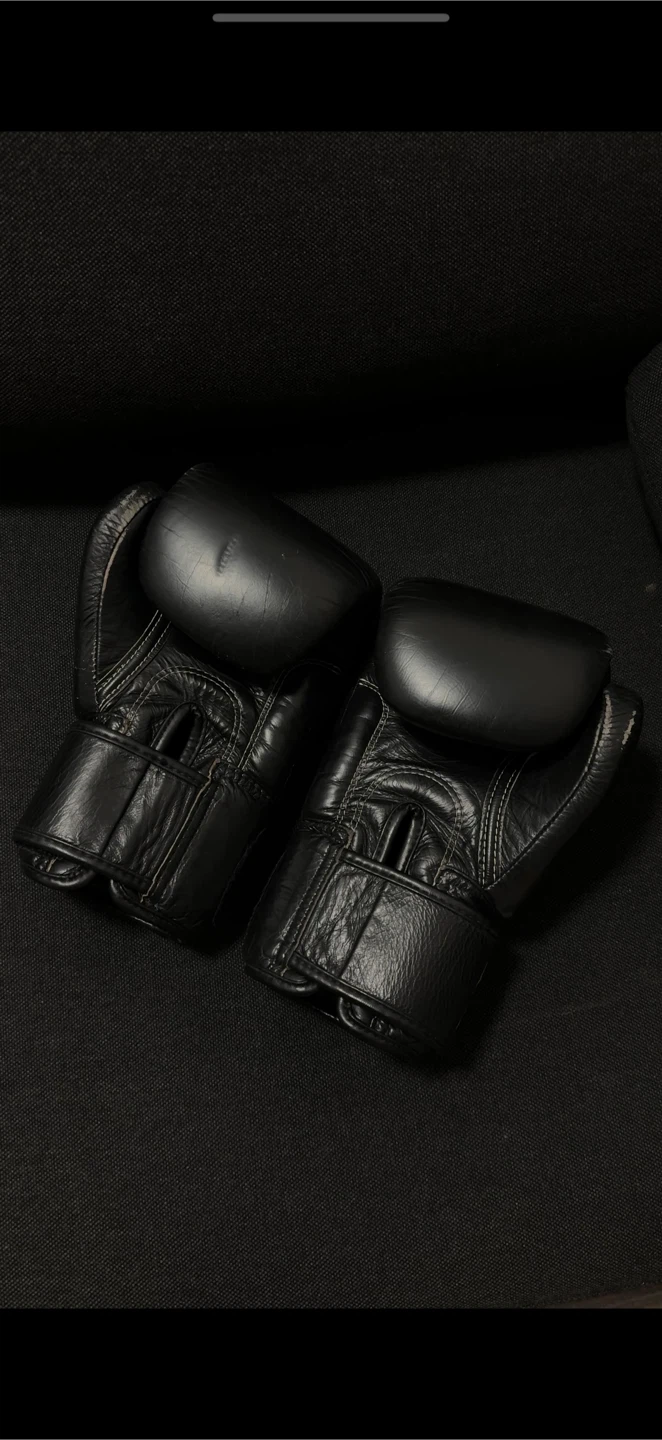 12oz Black Leather FAIRTEX BGV1 Muay Thai/Boxing Sparring Gloves - photo 3
