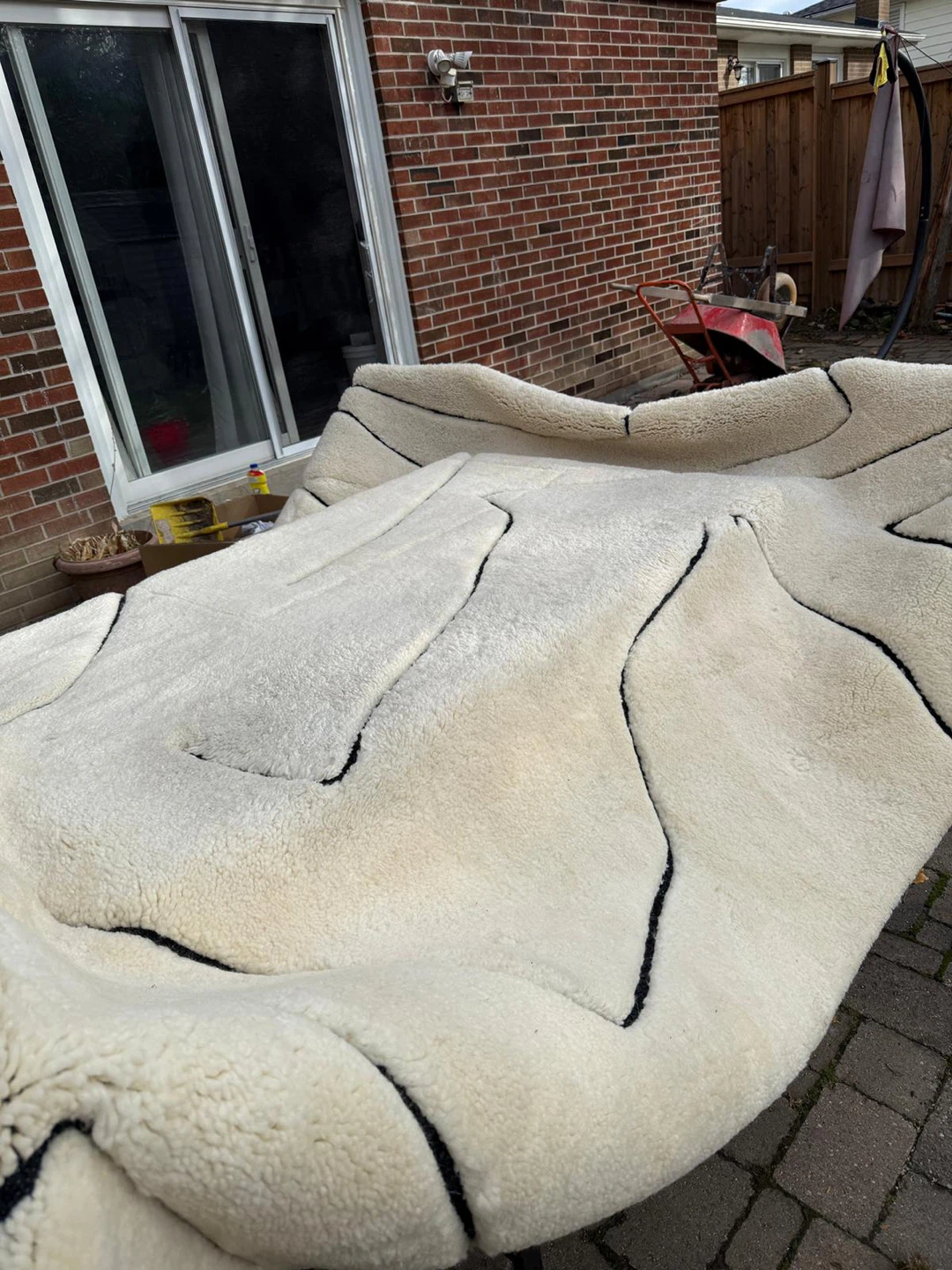 Off-White Rug with Black Lines - photo 3
