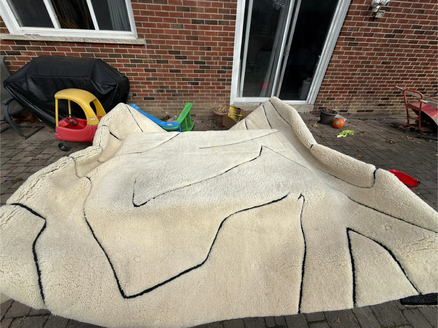 Off-White Rug with Black Lines - photo 2
