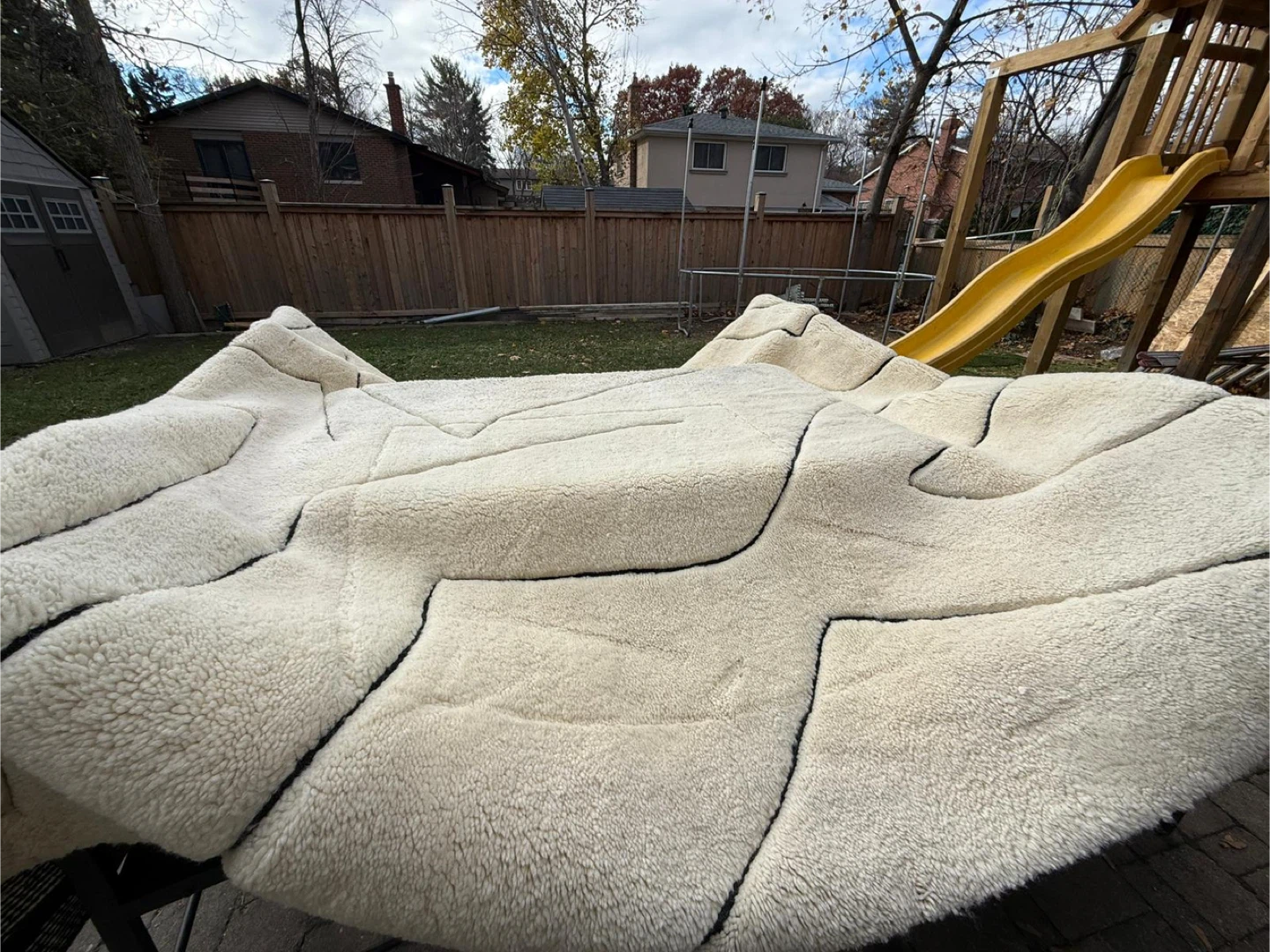 Off-White Rug with Black Lines - photo 5