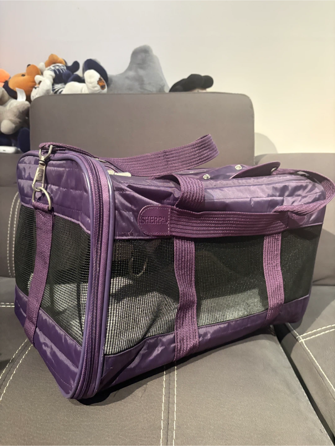 Sherpa Small Pet Carrier - Purple