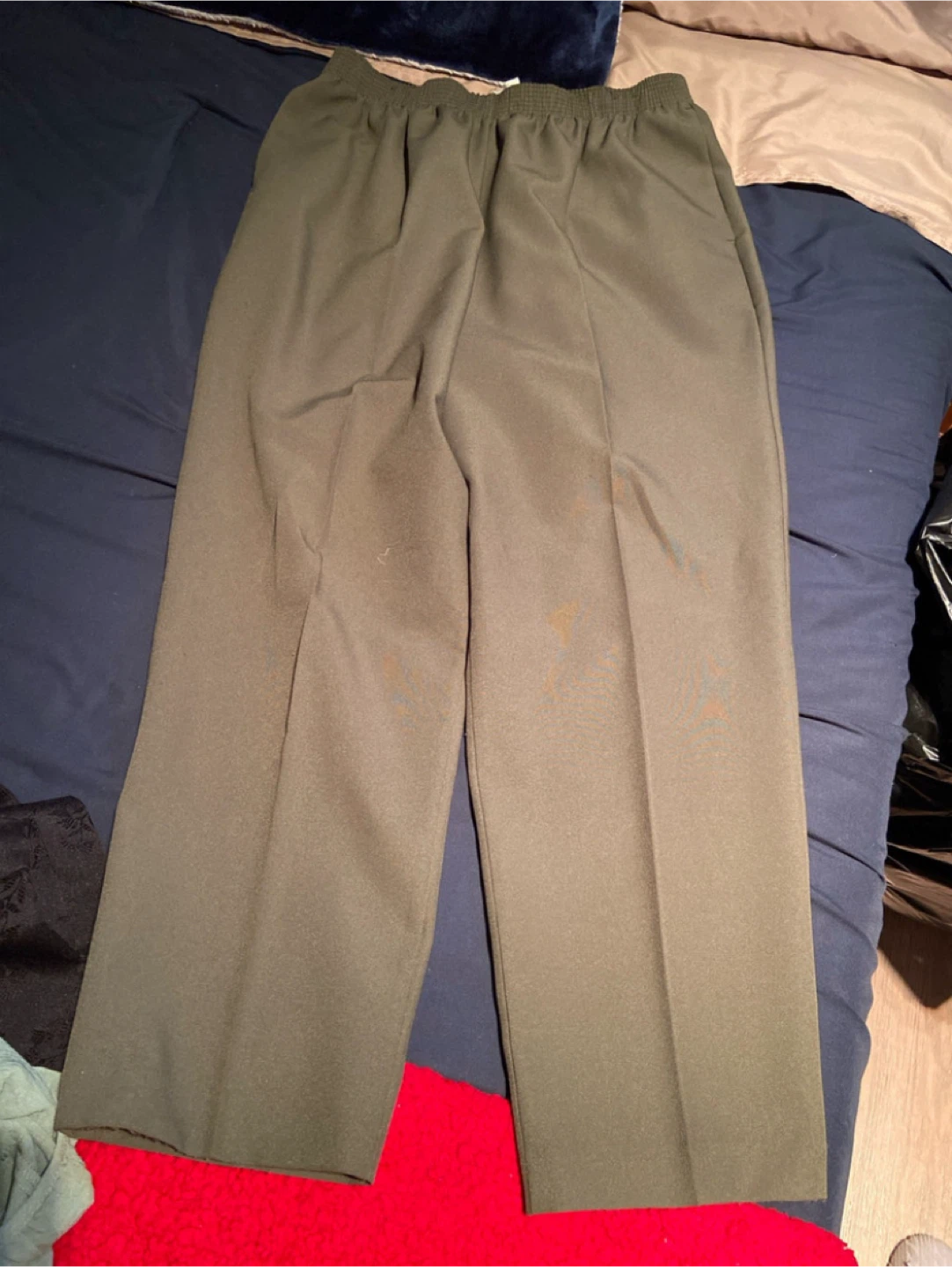 Alia Petites Pants 16P