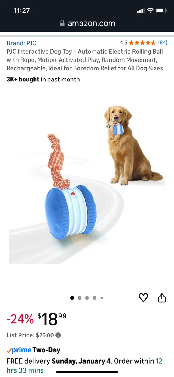 PJC Interactive Dog Toy - Motion Activated