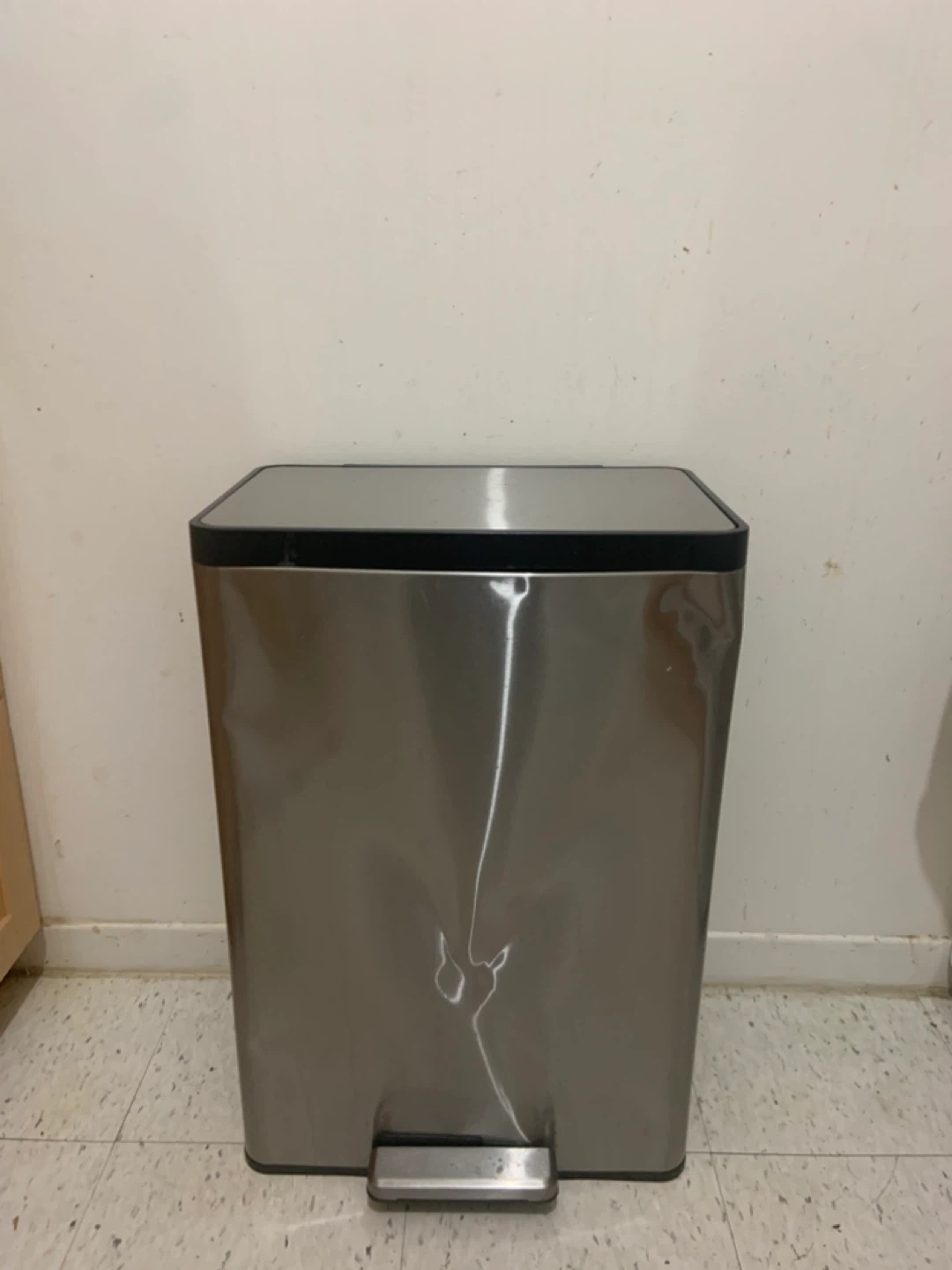 Stainless Steel Dual Compartment Trash Can