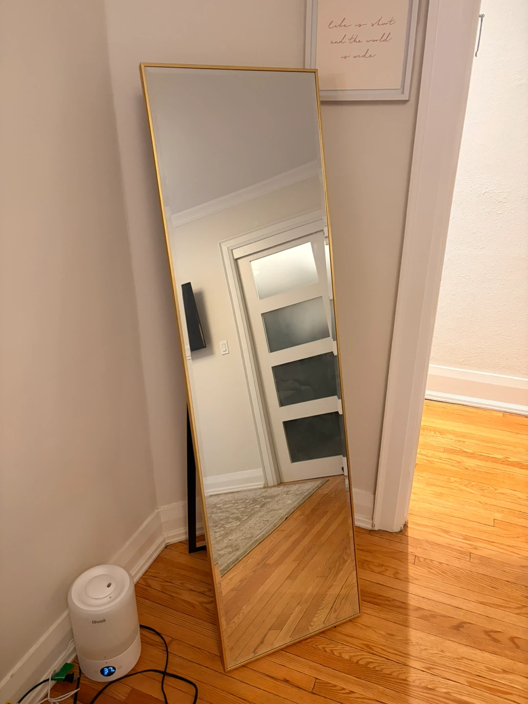 Gold Framed Full Length Mirror