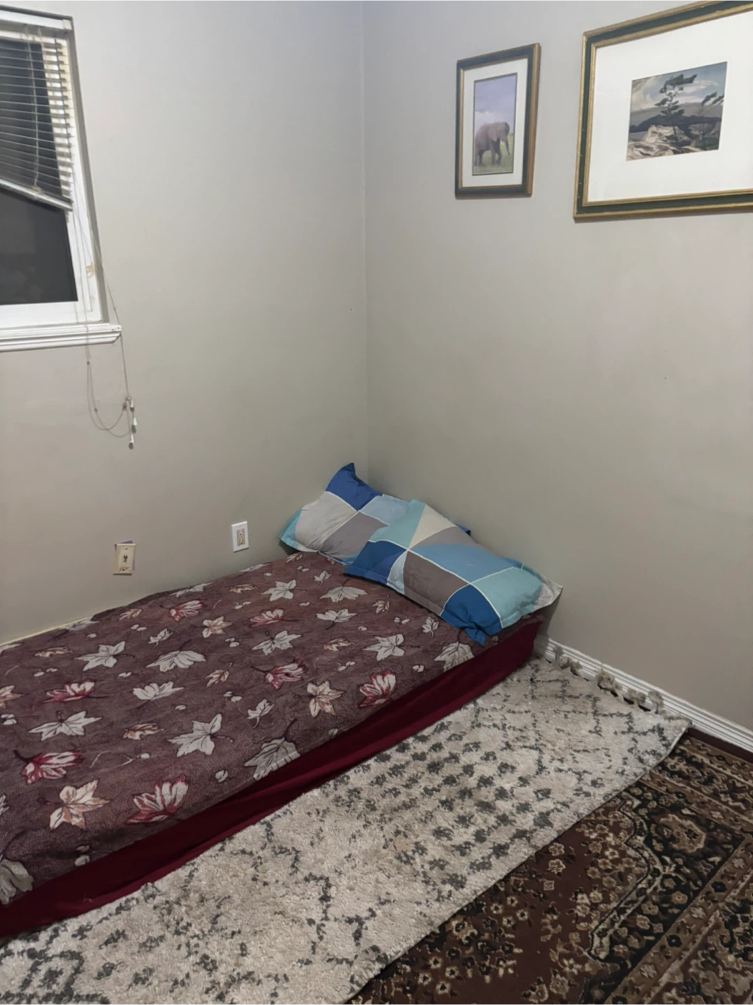 One Private Bedroom for rent in Ground level Suite - photo 3