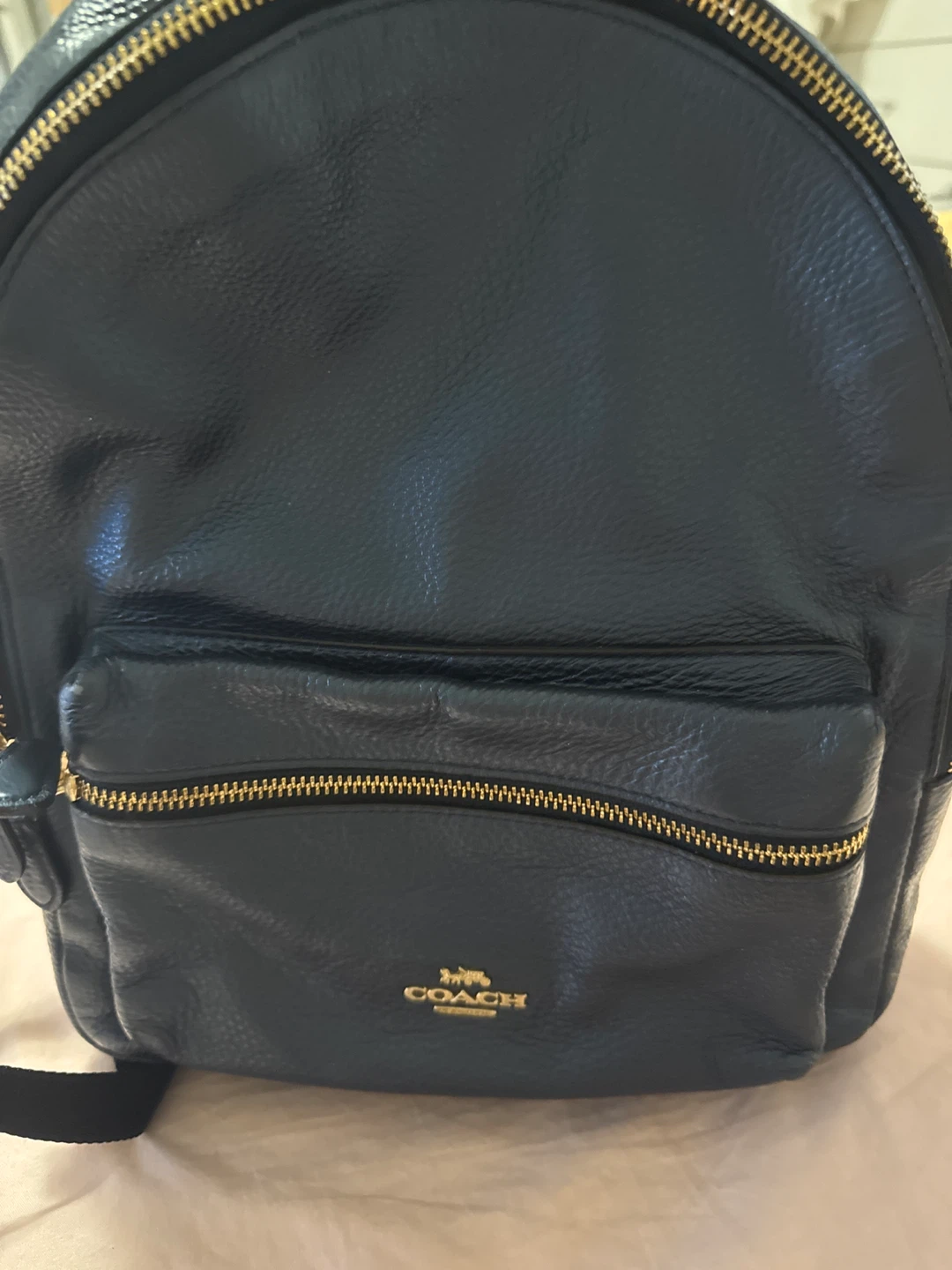 Coach Leather Backpack