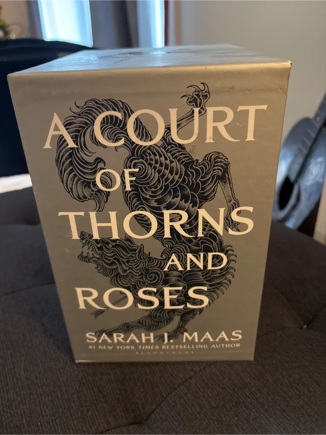 A Court of Thorns and Roses Series by Sarah J. Maas