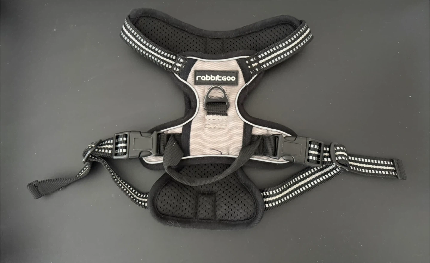 Rabbitgoo Pet Harness for small pets - size small 🧡