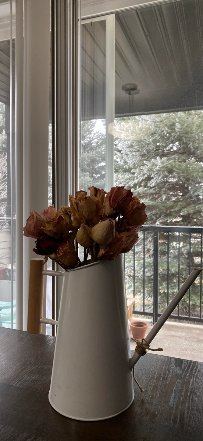 White Enamel Watering Can with Dried Roses