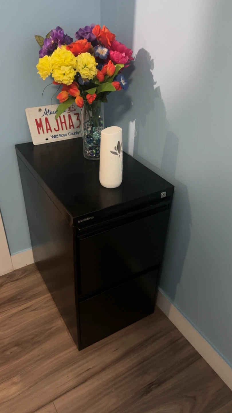 Steeline Black Filing Cabinet