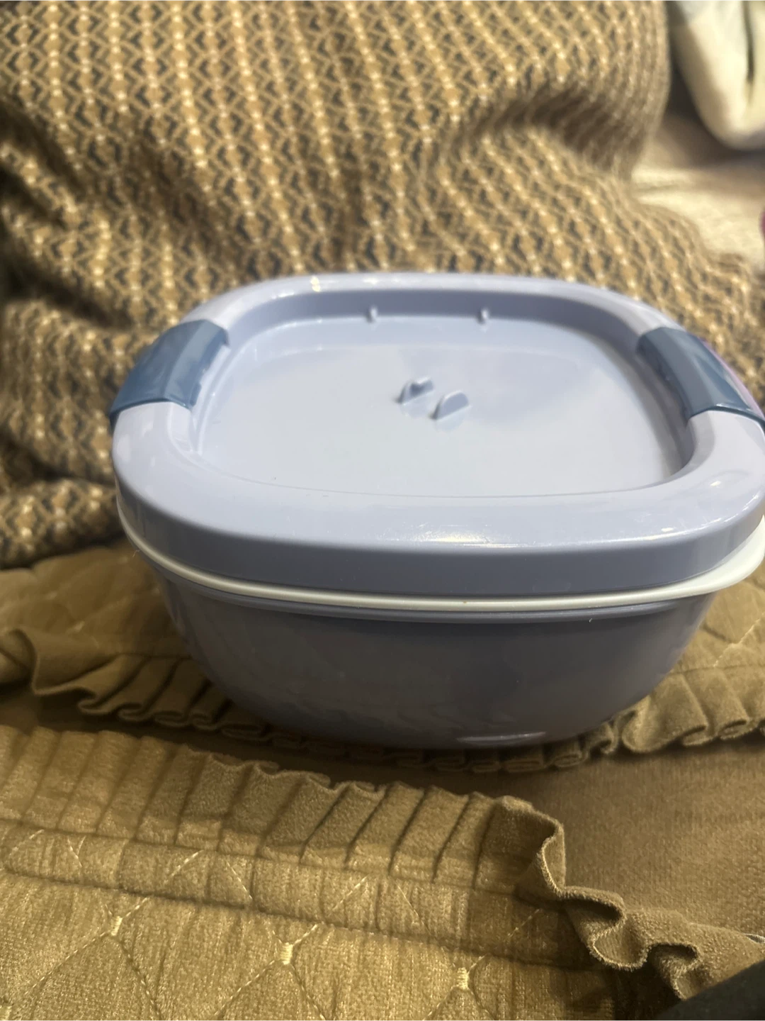 Blue Plastic Food Container
